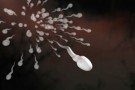 Voce profonda negli uomini, sinonimo di pochi spermatozoi! Voce profonda negli uomini, sinonimo di pochi spermatozoi!