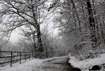 Rimedi contro la depressione invernale