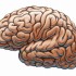 Depressione, altera il funzionamento del cervello