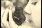 L’olfatto è il segreto dell’amore L’olfatto è il segreto dell’amore