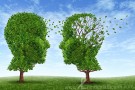 Declino cognitivo, l’attività fisica e mentale lo rallentano Declino cognitivo, l’attività fisica e mentale lo rallentano